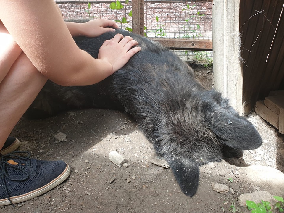 Айман Умарова