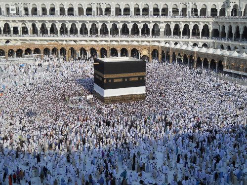 /image/2019/07/18/crop-77_3_897x1196_kaaba012_b.jpg