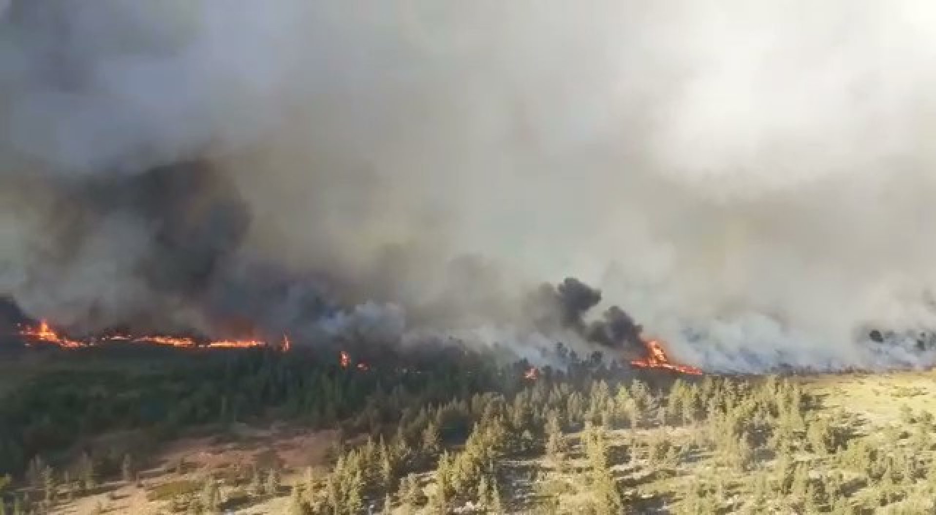 Қарқаралыдағы Ұлттық саябақтың 2,5 мың гектар жері әлі өртеніп жатыр