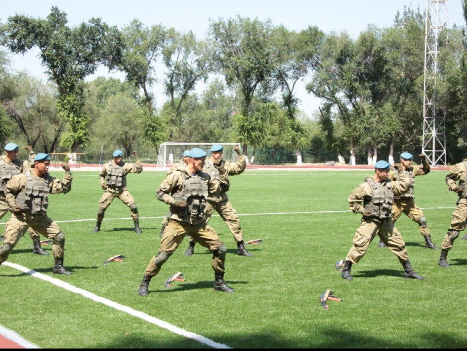 قورعانىس مينيسترلىگى: كوزى مەن قولىنان ايىرىلعان سارباز قاۋىپسىزدىك تالاپتارىن ورىنداماعان