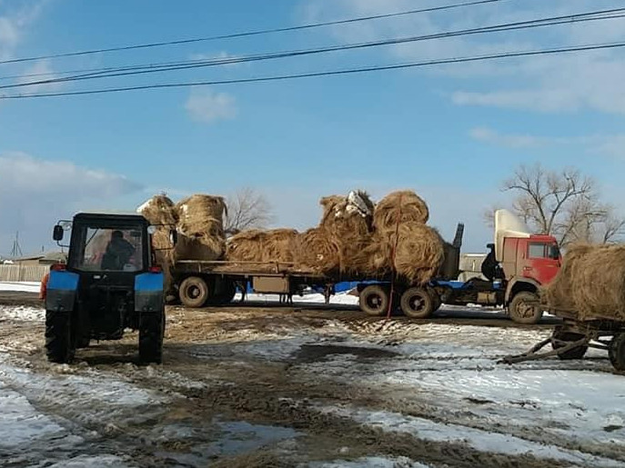 В ЗКО направлено порядка полумиллиарда тенге на субсидирование фермеров