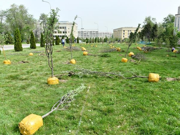 Әл-Фараби атындығы Қазақ ұлттық университетінде «Елбасы саябағы» ашылды