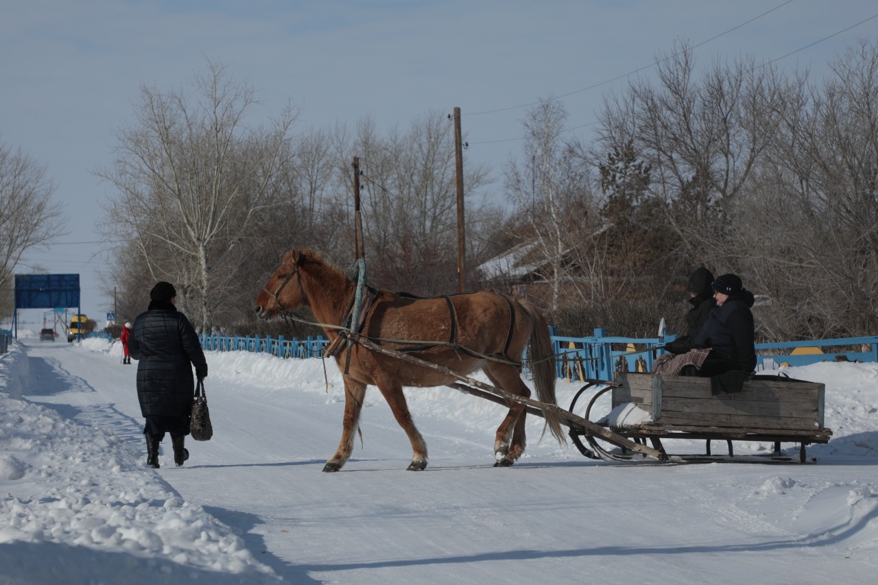 Фото: «AMANAT» партиясының баспасөз қызметі