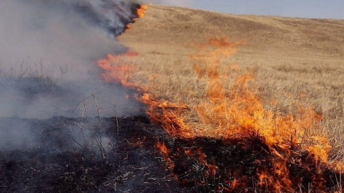 Қарағанды облысының 3 ауылында төтенше жағдай жарияланады