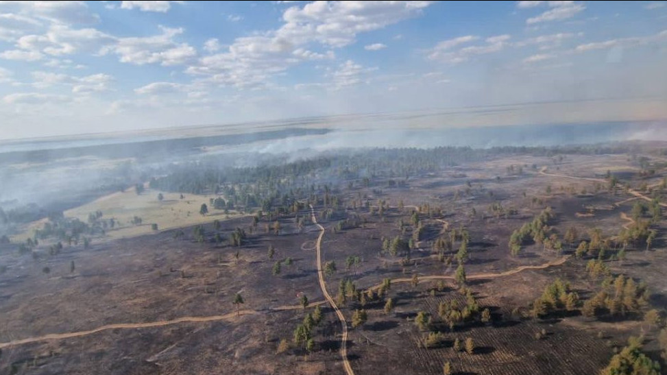 Абай облысындағы орман өрті 11 күннен кейін толықтай сөндірілді