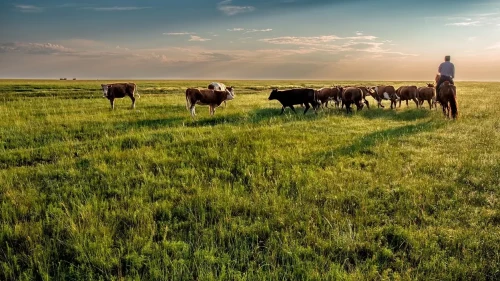 Агроөнеркәсіптік кешенді үдеден шығара алдық па?