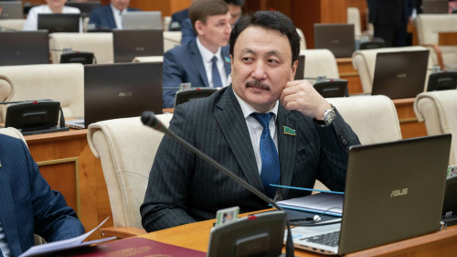 امانجول ءالتاي: ەلدى دە، وزگەنى دە مەزى قىلعان رومان سكليار كەتسىن