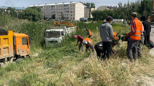 Жамбылда 816,6 шақырым канал тазаланды