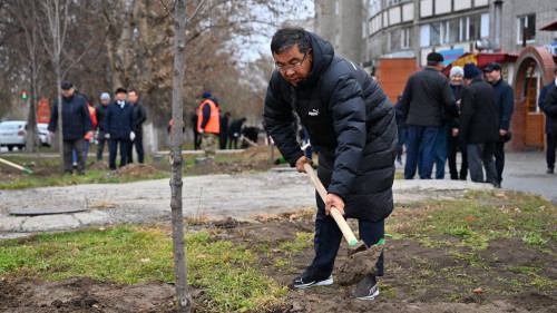 Абай облысында Республика күніне орай кең көлемде ағаш отырғызылды