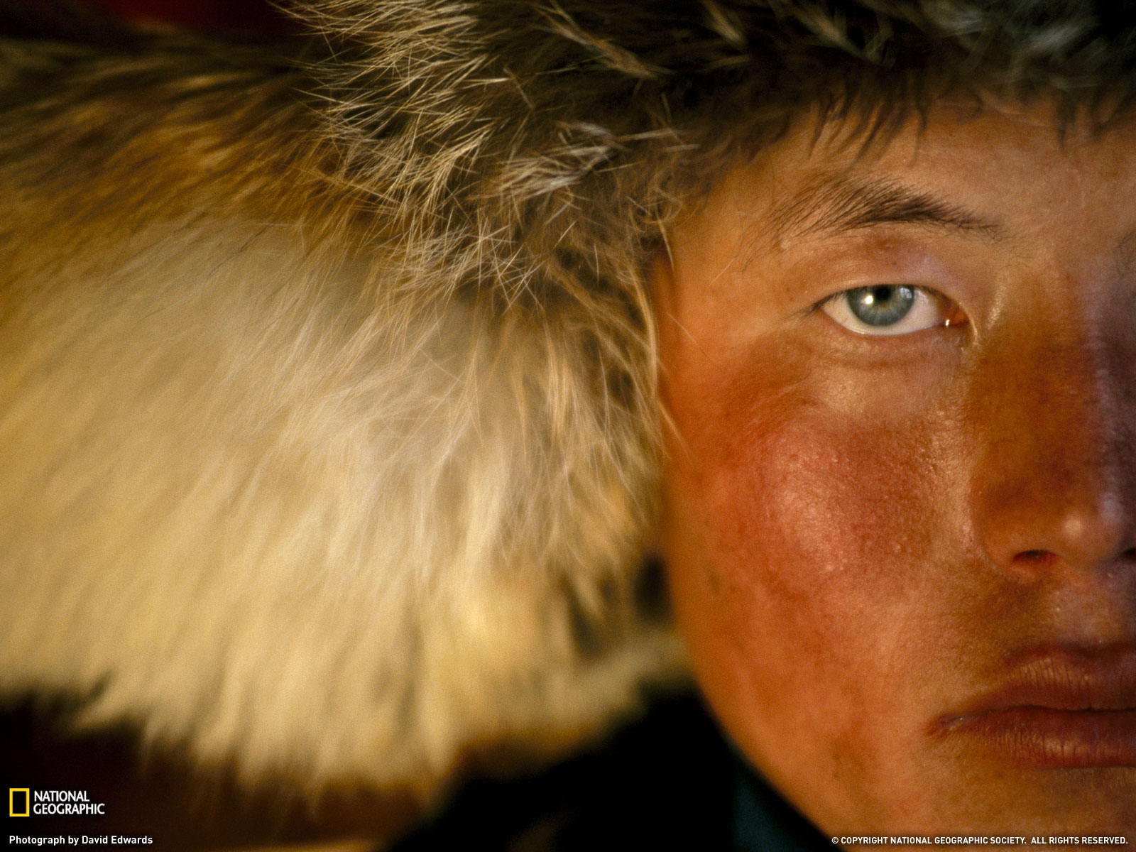 Mongolia_desktop_wallpaper