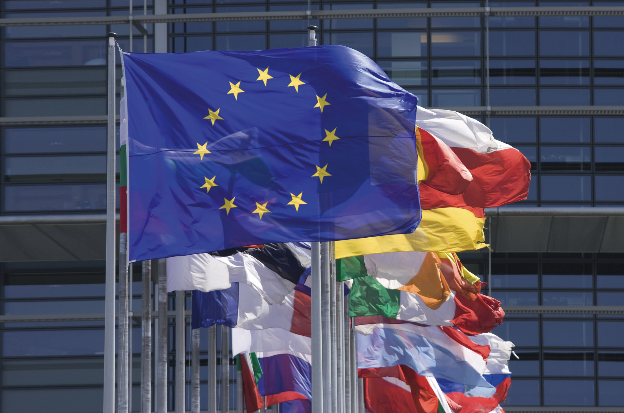 Международные союзы европы. Европейский Союз 1993. ЕС Армения флаг. ЕС Европейский Союз. Организация Евросоюза.