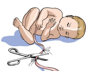 Писка мен анустың суреті