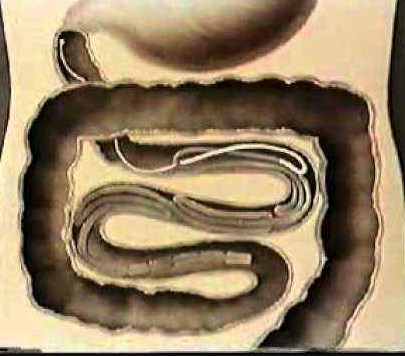 Www большая сик түсті пәктік Максим, әнші, секс-продюсер