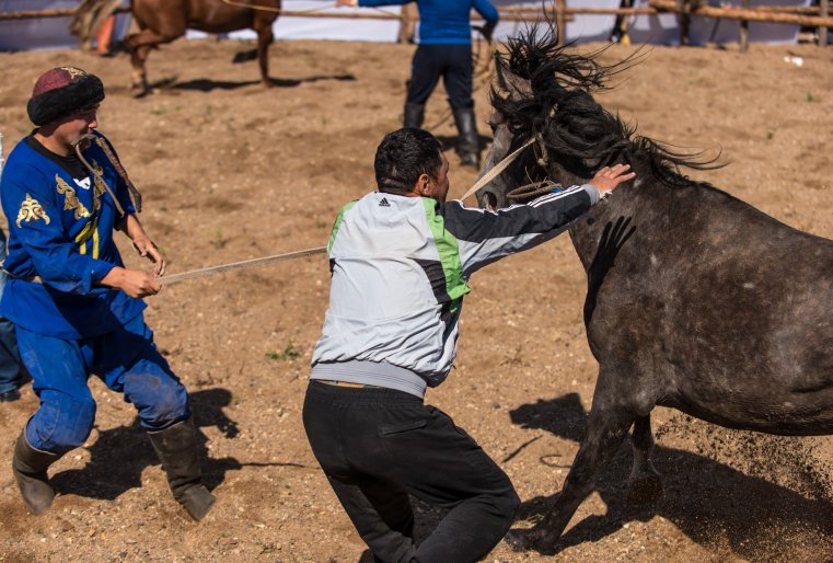 В состязаниях  по укрощению строптивого коня первое место занял Амирбек Тулегенов, второе - Ерасыл Диханбаев, третье - Жанадиль Газизов.