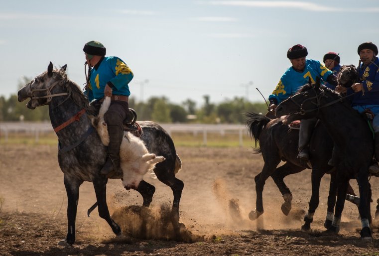 В современном спортивном кокпаре необходимо захватить тушу, удержать ее и забросить в "ворота" команды соперника.