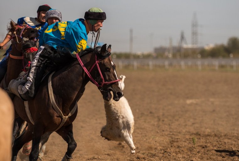 По кокпару в финале сразились сборные Астаны и Акмолинской области. Астанчане выиграли со счетом 6:0. На втором месте - Акмолинская область, на третьем - Костанайская.