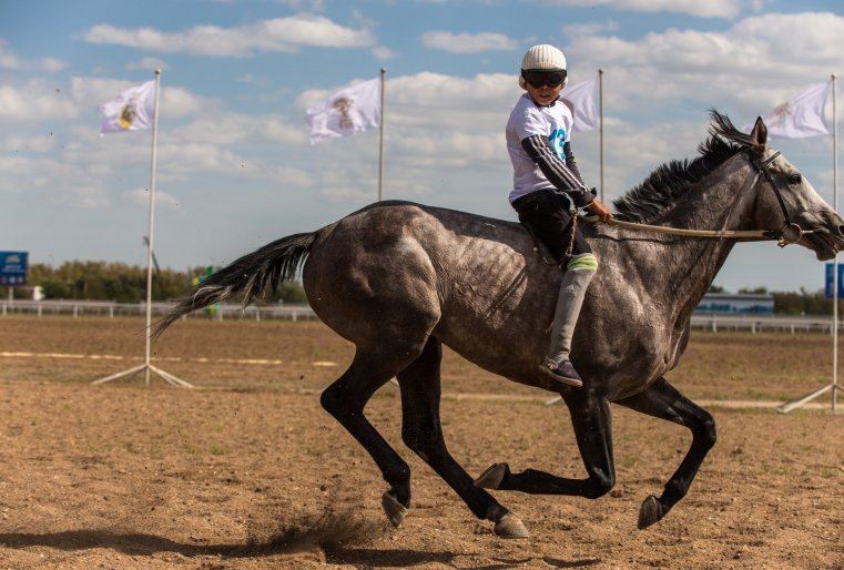 Здесь обычные люди научатся верховой езде, играть в аударыспак, асык ату, тогызкумалак и другим национальным играм, для этого, как пообещал аким, будут созданы все условия.
