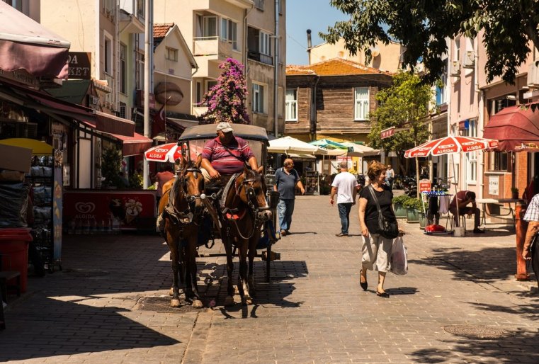 چەم موجنو زانياتسيا نا وستروۆە، كرومە پروگۋلكي، يا تاك ي نە پريدۋمال. زدەس پرەدلاگايۋت پوپروبوۆات مەستنۋيۋ رىبۋ، نو سەنى نا نەە منە پوكازاليس ۆىشە، چەم ۆ گورودە. ۆپروچەم، رىبا ۆ ستامبۋلە - تەما وتدەلنايا، پودروبنەە وب ەتوم يا ەششە راسسكاجۋ نيجە