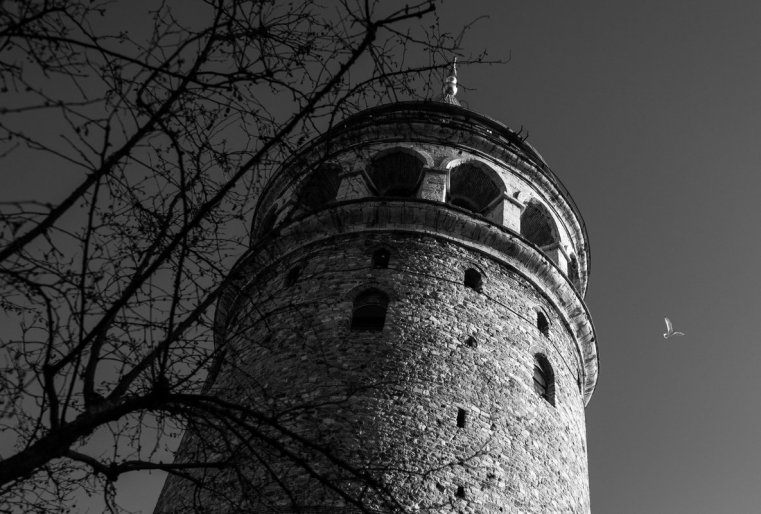 باشنيا گالاتا