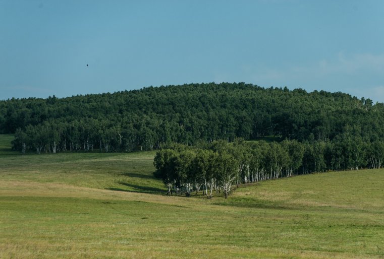 Близость к курорту Боровое придает этому поселку особый статус. Первое желание приезжего городского жителя - остаться здесь навсегда.