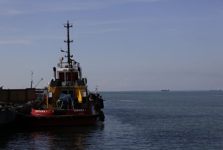 Из Казахстана в Батуми по пятницам и воскресеньям налажены авиарейсы. Туристический сезон открывается в мае-июне и продолжается до октября. На берегу Черного моря представлены сети мировых отелей, такие как Radisson, Hilton, Sheraton, Kempinski и другие. Туристы с более менее скромными запросами могут остановиться в гестхаусах или снять квартиры. Проживание в гостиницах среднего уровня будет стоить от 180 лари (1 лари – ориентировочно 160 тенге - прим.ред.) и выше. Подобрать квартиру для семьи можно за 70-100 лари за сутки. Трансфер из аэропорта на такси - около 14 лари. Обед в ресторане обойдется в среднем в 15 лари с человека. Пик сезона - июль-август. Стоимость сувениров начинается от 2-х лари. 