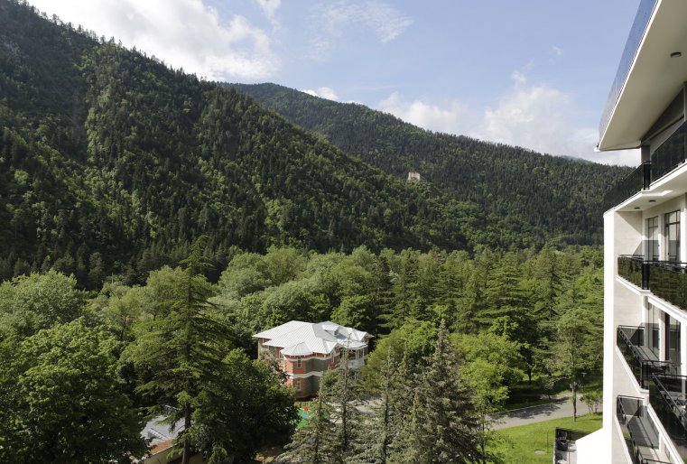 В юго-восточной части Грузии, в 152 километрах к западу от Тбилиси, находится Боржоми, который знаменит не только своей минеральной водой. Здесь расположены оздоровительные учреждения, санатории и дома отдыха, которые предлагают лечение серными и минеральными ваннами. Отличное место для семейного релакса, где можно отдохнуть от городской суеты. Проживание в местных гостиницах с питанием обойдется от 85 лари до 400 лари в сутки. Также можно снять и частные дома, это будет намного дешевле - примерно 40-50 лари в сутки. 