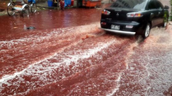 Stolısý Bangladesh navodnılı rekı s krovú ýbıtyh na Kýrban-baıram jıvotnyh