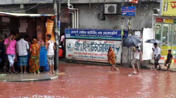 Stolısý Bangladesh navodnılı rekı s krovú ýbıtyh na Kýrban-baıram jıvotnyh