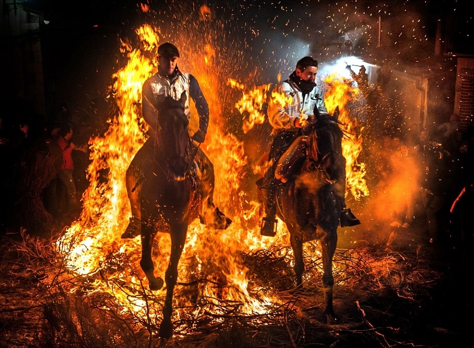 2016'nın en korku dolu anları