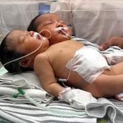 Әйел ер адамды өз мүшесін соруға мәжбүрлейді (эротика)