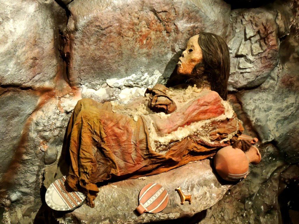 Порно видео секс еркек иттермен