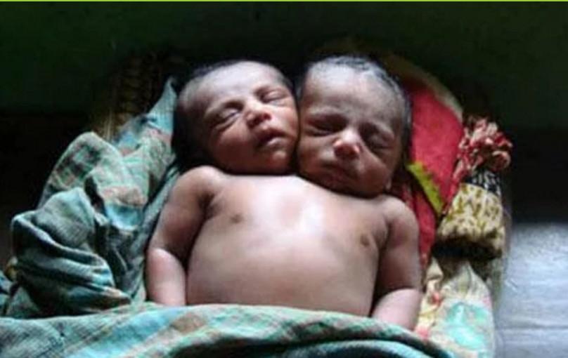 Юлия Воробьева, порно актриса