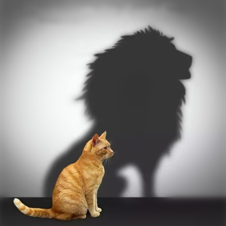 Сенімділік