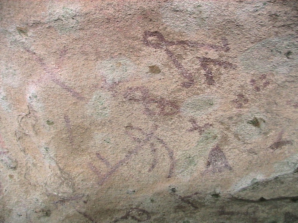 фото Натальи Тишковец