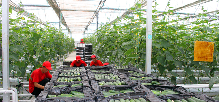 Таң қалдырған