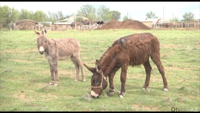 1080p HD порнофильмдерін қараңыз