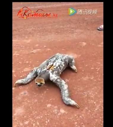 Жоғалған телефондардан орысша порно