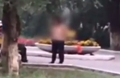 Анальды жыныс анатомиясы қимасының суреті