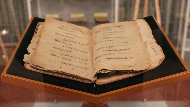 Арыстандармен жыныстық қатынас