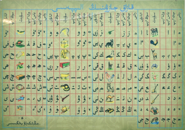 Әдемі латина бөкселері