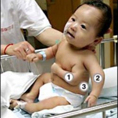 Мулатта анал порно фотосуреттер