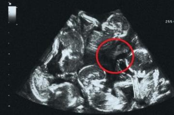 Gravity Falls мультфильм секс