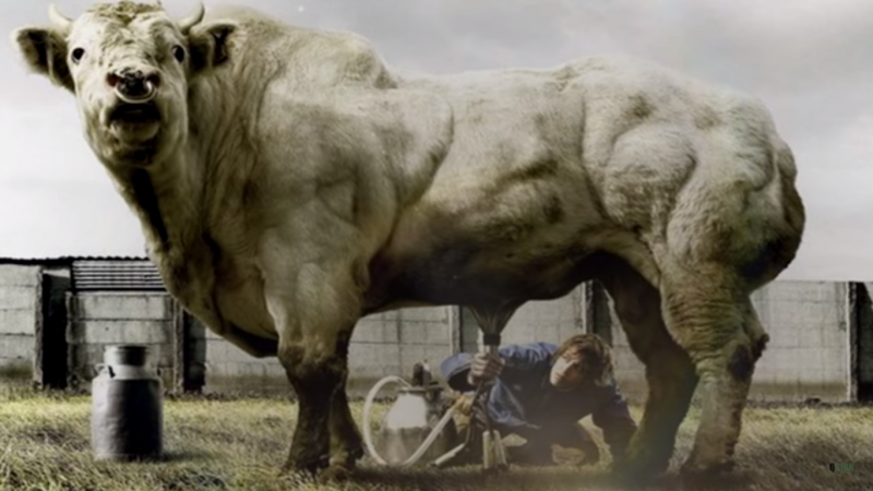 Эльвира Болгова кеуде аяқтары секс