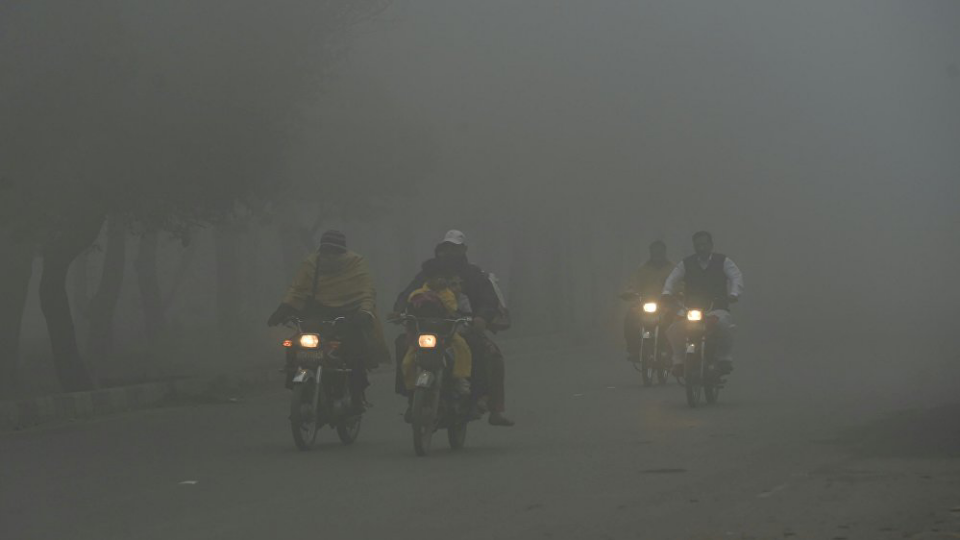 Балмұздақ жеп жатқан қыз порно видео