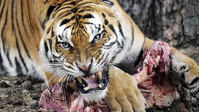 Уақыт пен әйнектен жалаңаш Надя