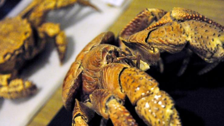 Пойыздағы секс