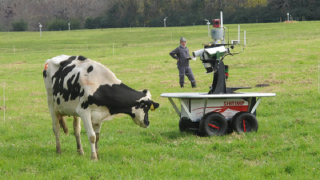 Qazaqstanda robot fermalarynyń sany artyp keledi