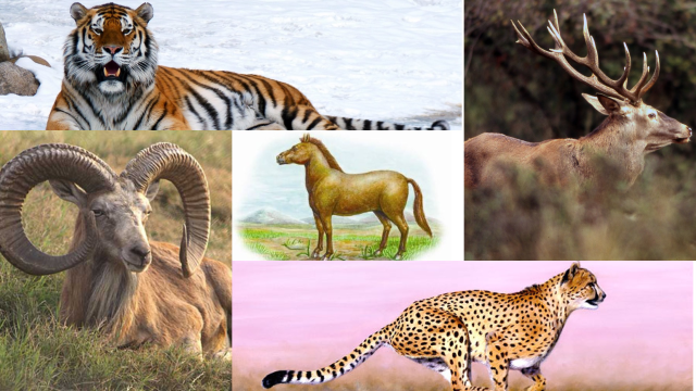 Мини юбка киген бойжеткен көшеде еңкейіп, жігіт қарсылық көрсете алмады.