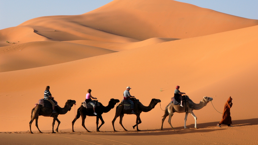 Порно оргазм зрели дами