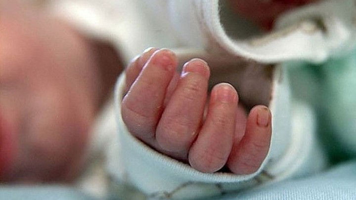 Желіде ергежейлі қызды бейнелейтін порно